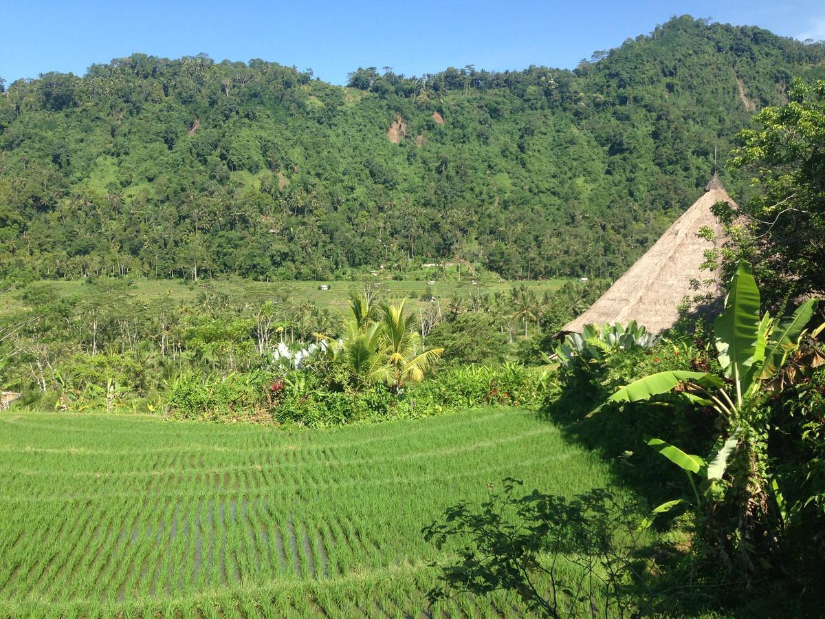 Nirarta Center For Living Awareness Hotel ซิเดอมัน ภายนอก รูปภาพ